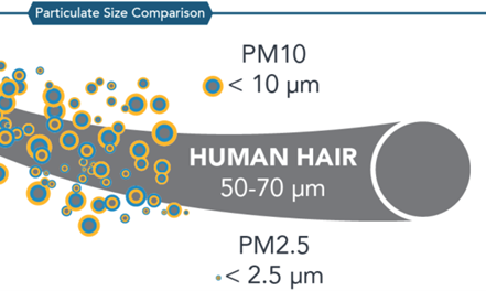 Example of a Particulate Size Comparison